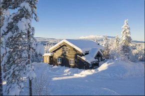 Familiehytte nær Trysil bikearena og alpinanlegg Trysil